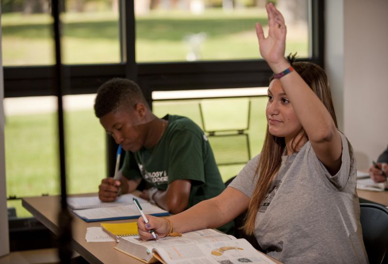 Student raising her hand