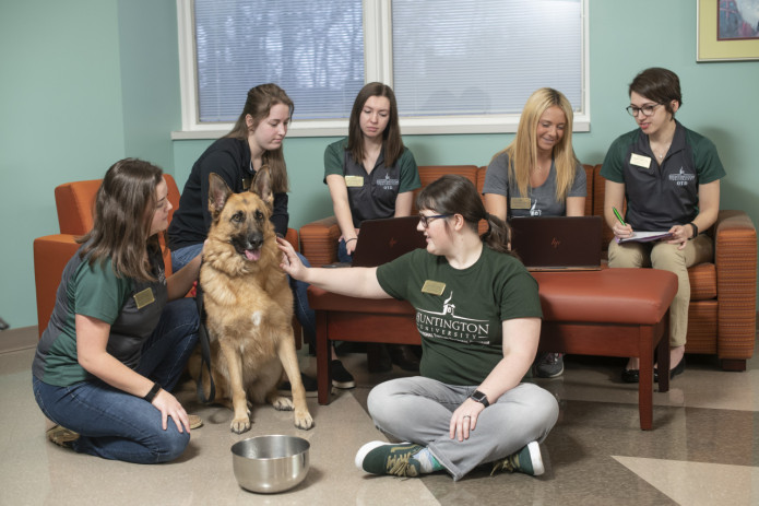 Several Veterinary HU students working together. 