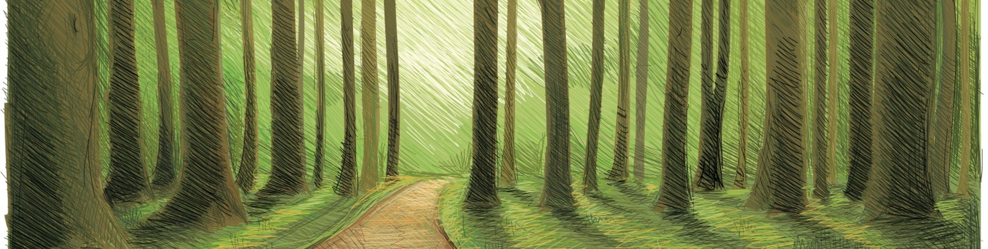 Drawing of a forest. 