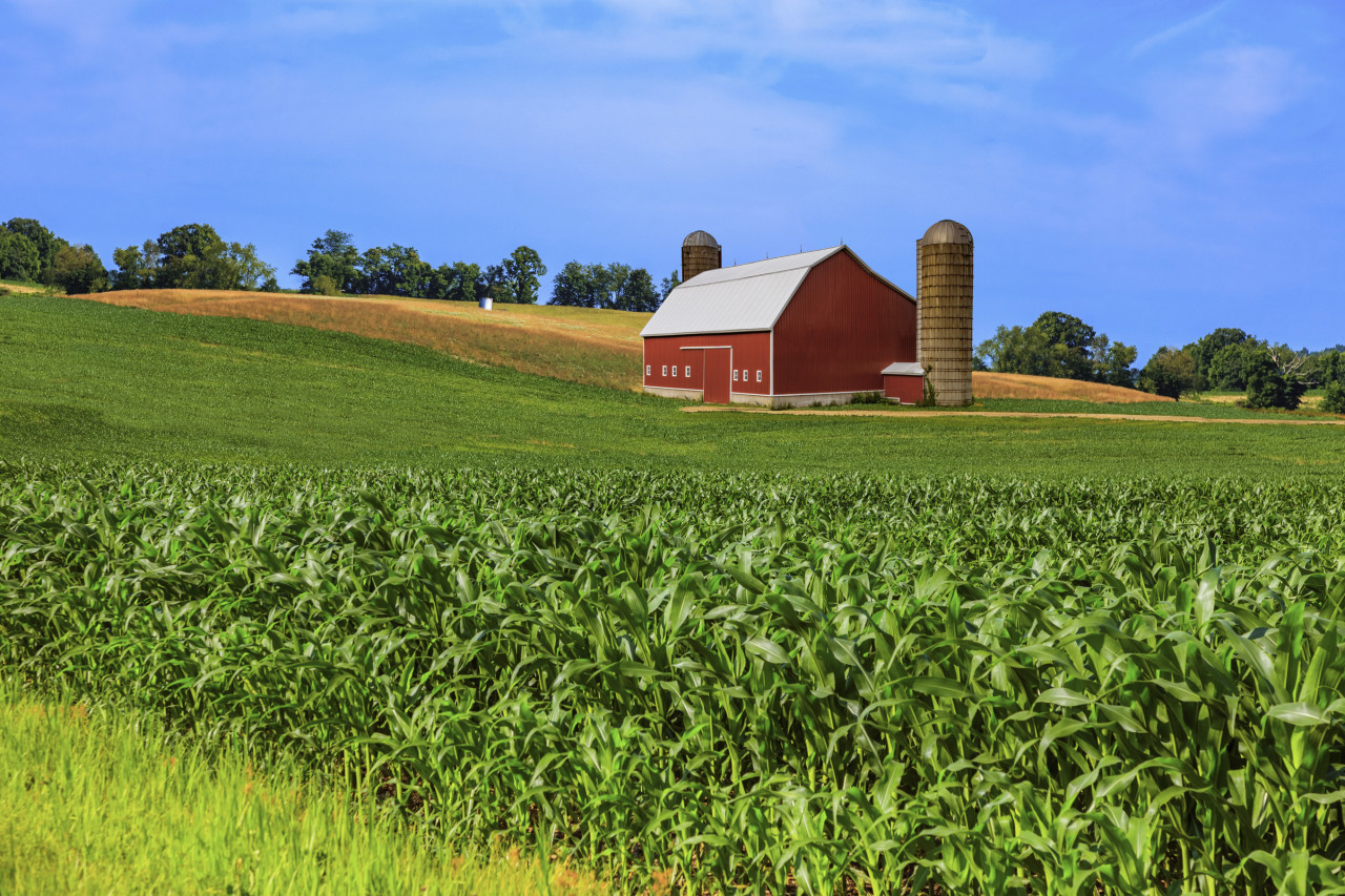 The image of a farm.