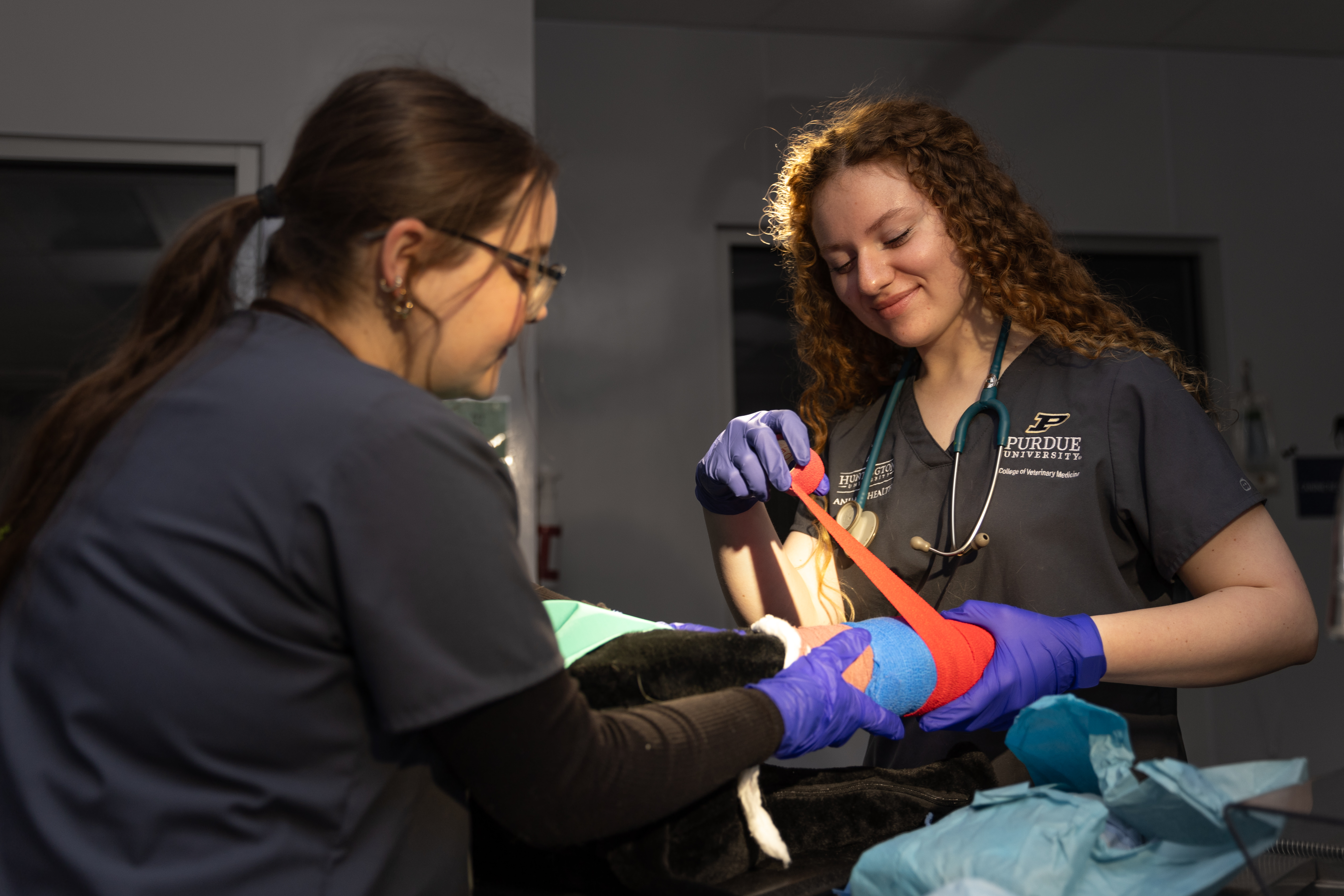 HU student animal health vet.